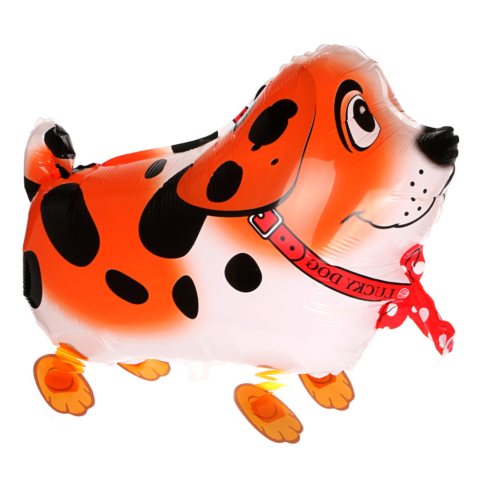 Orange Dog  (Item: D4)